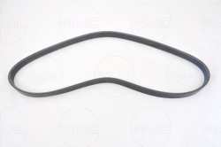 ������ 5PK1008 ������������, ��������������  96144934/AMD.BL149 AMD